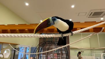 アニタッチPARKイオンモール太田に投稿された画像（2024/10/21）