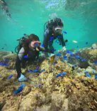 武藤潜水に投稿された画像（2024/10/21）