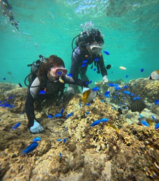 武藤潜水に投稿された画像（2024/10/21）