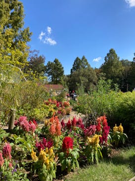 ムーミンバレーパークに投稿された画像（2024/10/21）