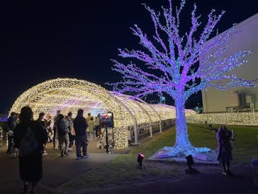 東京メガイルミに投稿された画像（2024/10/20）