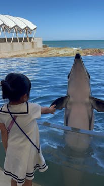 城崎マリンワールドに投稿された画像（2024/10/21）