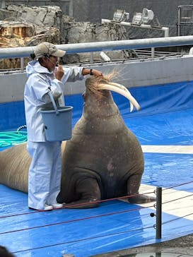 大分マリーンパレス水族館 「うみたまご」に投稿された画像（2024/10/21）