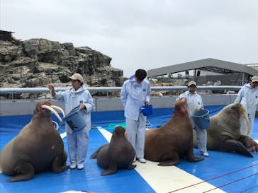 大分マリーンパレス水族館 「うみたまご」に投稿された画像（2024/10/21）