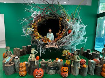 モビリティリゾートもてぎに投稿された画像（2024/10/21）