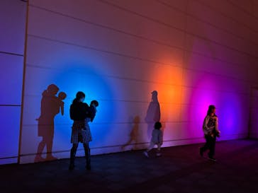 東京メガイルミに投稿された画像（2024/10/21）