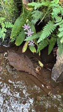 彫刻の森美術館に投稿された画像（2024/10/21）