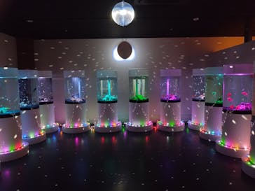 NARA KINGYO MUSEUMに投稿された画像（2024/10/21）