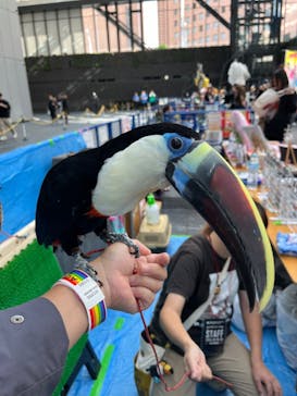 アクアリウム東京に投稿された画像（2024/10/21）