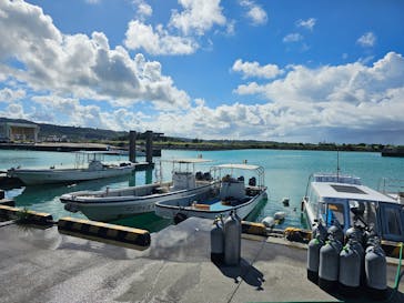 青の洞窟専門店　沖縄ダイビングショップ和に投稿された画像（2024/10/21）