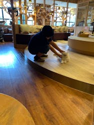 猫カフェモカ　池袋本店に投稿された画像（2024/10/21）
