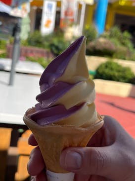 白浜エネルギーランドに投稿された画像（2024/10/21）