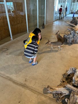 霞ケ浦 どうぶつとみんなのいえに投稿された画像（2024/10/21）