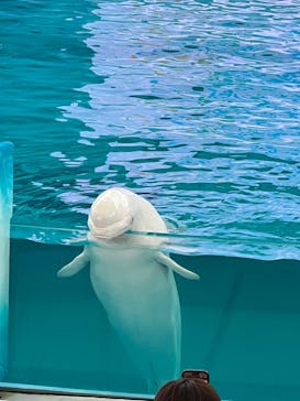 横浜・八景島シーパラダイスに投稿された画像（2024/10/21）