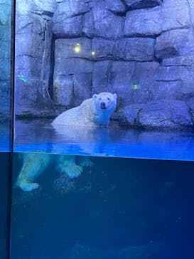 横浜・八景島シーパラダイスに投稿された画像（2024/10/21）