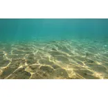 武藤潜水に投稿された画像（2024/10/21）