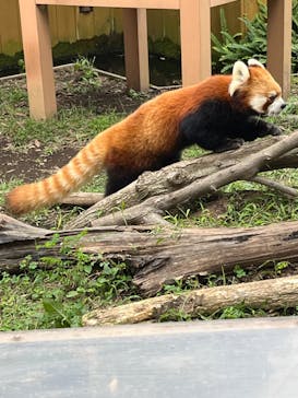 横浜・八景島シーパラダイスに投稿された画像（2024/10/21）