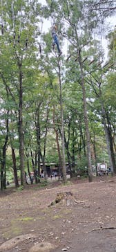 那須の森の空中アスレチック『NOZARU』に投稿された画像（2024/10/21）