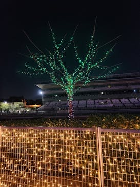 東京メガイルミに投稿された画像（2024/10/21）