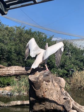 神戸どうぶつ王国に投稿された画像（2024/10/21）