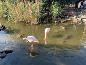 神戸どうぶつ王国に投稿された画像（2024/10/21）