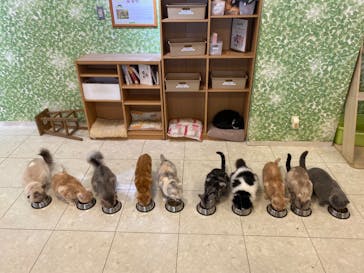 Moff animal world BIGHOPガーデンモール印西店に投稿された画像（2024/10/21）