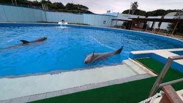 南知多ビーチランド＆南知多おもちゃ王国に投稿された画像（2024/10/21）