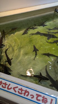 南知多ビーチランド＆南知多おもちゃ王国に投稿された画像（2024/10/21）