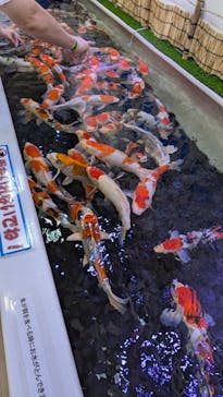 南知多ビーチランド＆南知多おもちゃ王国に投稿された画像（2024/10/21）