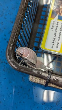 竹島水族館に投稿された画像（2024/10/21）