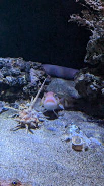 竹島水族館に投稿された画像（2024/10/21）