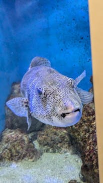 竹島水族館に投稿された画像（2024/10/21）