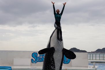 鴨川シーワールドに投稿された画像（2024/10/21）