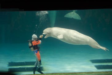 鴨川シーワールドに投稿された画像（2024/10/21）