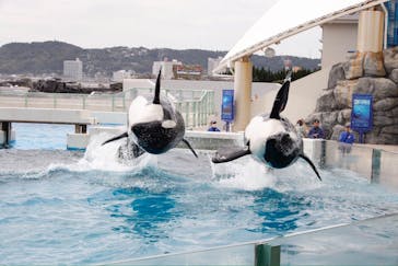 鴨川シーワールドに投稿された画像（2024/10/21）