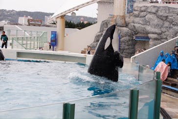 鴨川シーワールドに投稿された画像（2024/10/21）