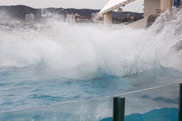 鴨川シーワールドに投稿された画像（2024/10/21）