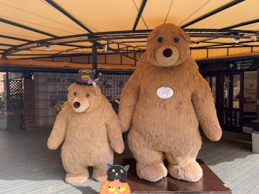 伊豆テディベア・ミュージアムに投稿された画像（2024/10/21）