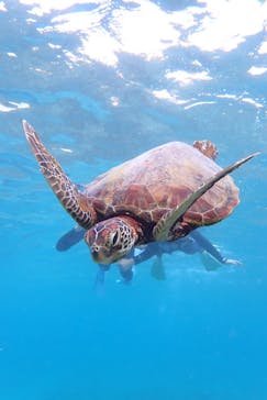 nico 宮古島に投稿された画像（2024/10/21）