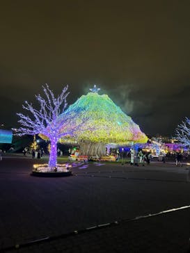 東京メガイルミに投稿された画像（2024/10/21）
