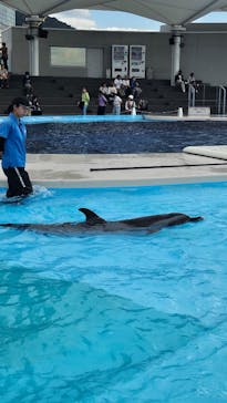 四国水族館に投稿された画像（2024/10/21）