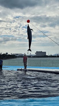 四国水族館に投稿された画像（2024/10/21）