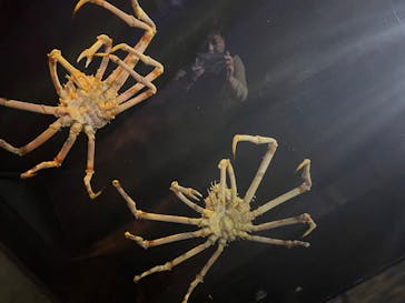 竹島水族館に投稿された画像（2024/10/21）