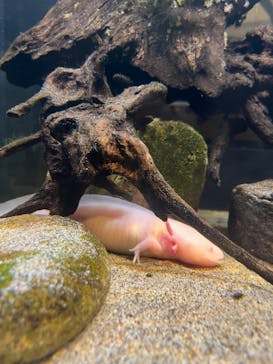 竹島水族館に投稿された画像（2024/10/21）