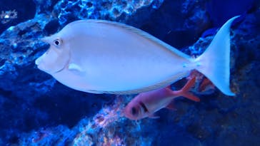 竹島水族館に投稿された画像（2024/10/21）