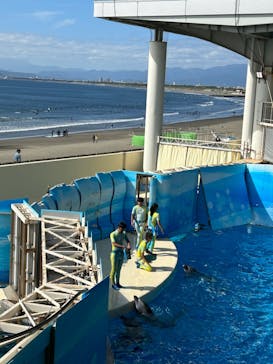 新江ノ島水族館に投稿された画像（2024/10/21）