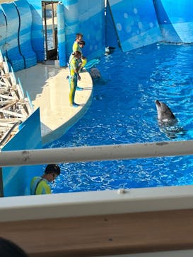新江ノ島水族館に投稿された画像（2024/10/21）