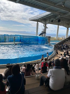 新江ノ島水族館に投稿された画像（2024/10/21）