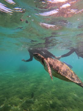 nico 宮古島に投稿された画像（2024/10/21）