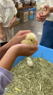 東京あそびマーレに投稿された画像（2024/10/21）